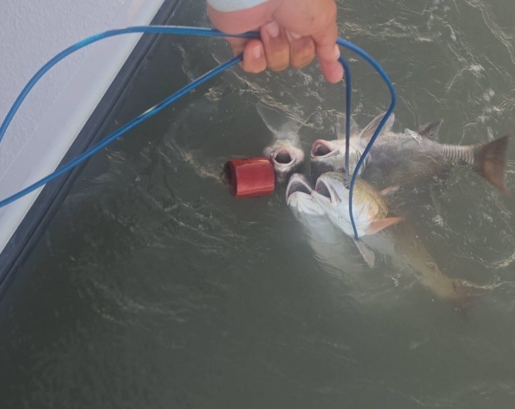 Angler holding a fresh redfish catch on the Laguna Madre with Capt. Rey