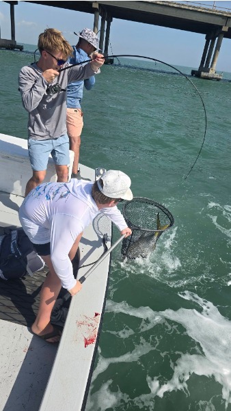 Crew nets a fish at the side of the boat.